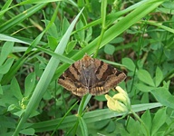 Dscf2087
