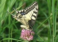 Dscf2179