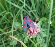 Dscf2193