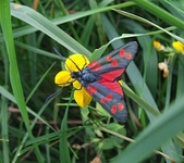 Dscf2228