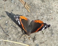 Dscf2291
