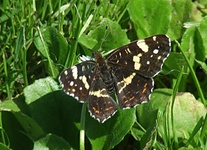 Dscf1883