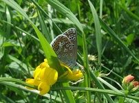 Dscf2275