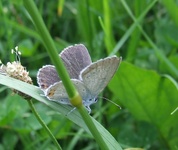 Dscf2269