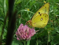 Dscf2555