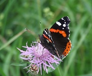 Dscf2573