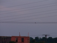 Pict0030
