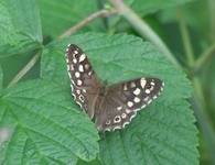 Dscf2899