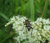 Dscf2957