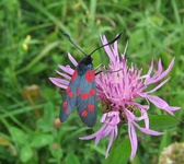 Dscf2940
