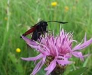 Dscf2944