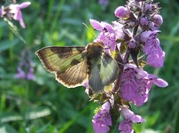 Dscf3073