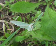 Dscf2909