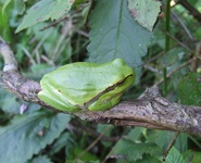 Dscf3764