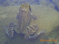 Pict0572