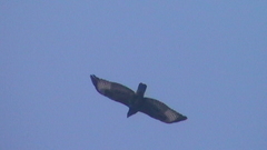 S3100016