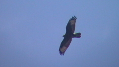 S3100019