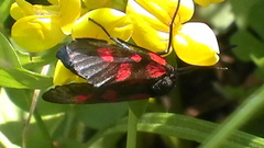 S3210001