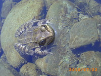 Pict0574