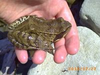 Pict0576
