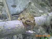 Pict0581