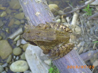 Pict0583