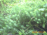 Pict0058