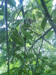 Dsc00229