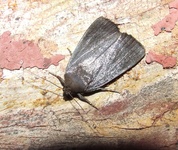 Dscf3879
