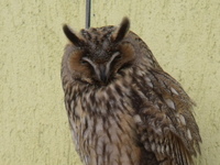 Dscf0469