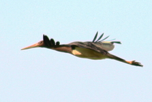 Img_8410a