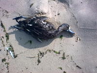 20110929_002