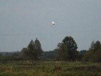 Dsc04203
