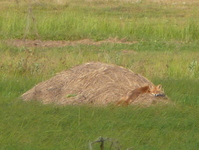 P1340911