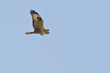 Imgp5986