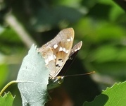 Dscf1910_275