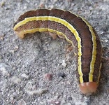 Dscf4321_768