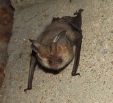 Dscf4666