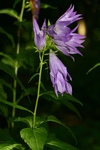 Img_7353