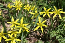 Img_4762