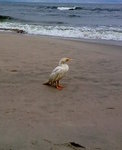 20110703_006