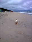 20110703_007
