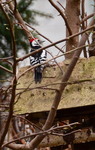 Dsc_9364sredni12