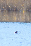109