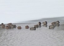 Dscf2363