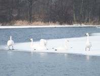 Dscf2591