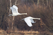 Img_5725-3