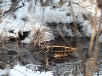 Dscf2692.1