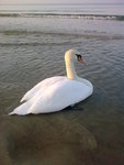 20120214