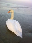 20120214_001